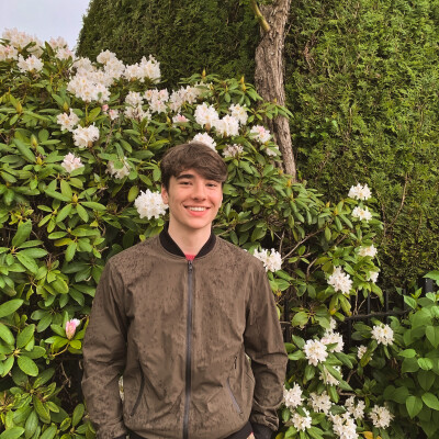 Bob is looking for a Room in Utrecht