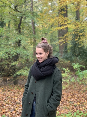Ilse